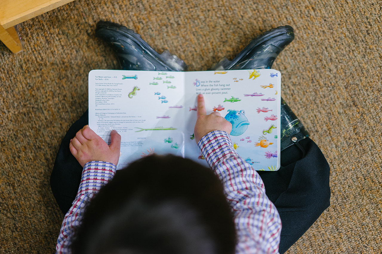 A boy reads a book about fish