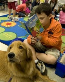 A boy reads to a dog