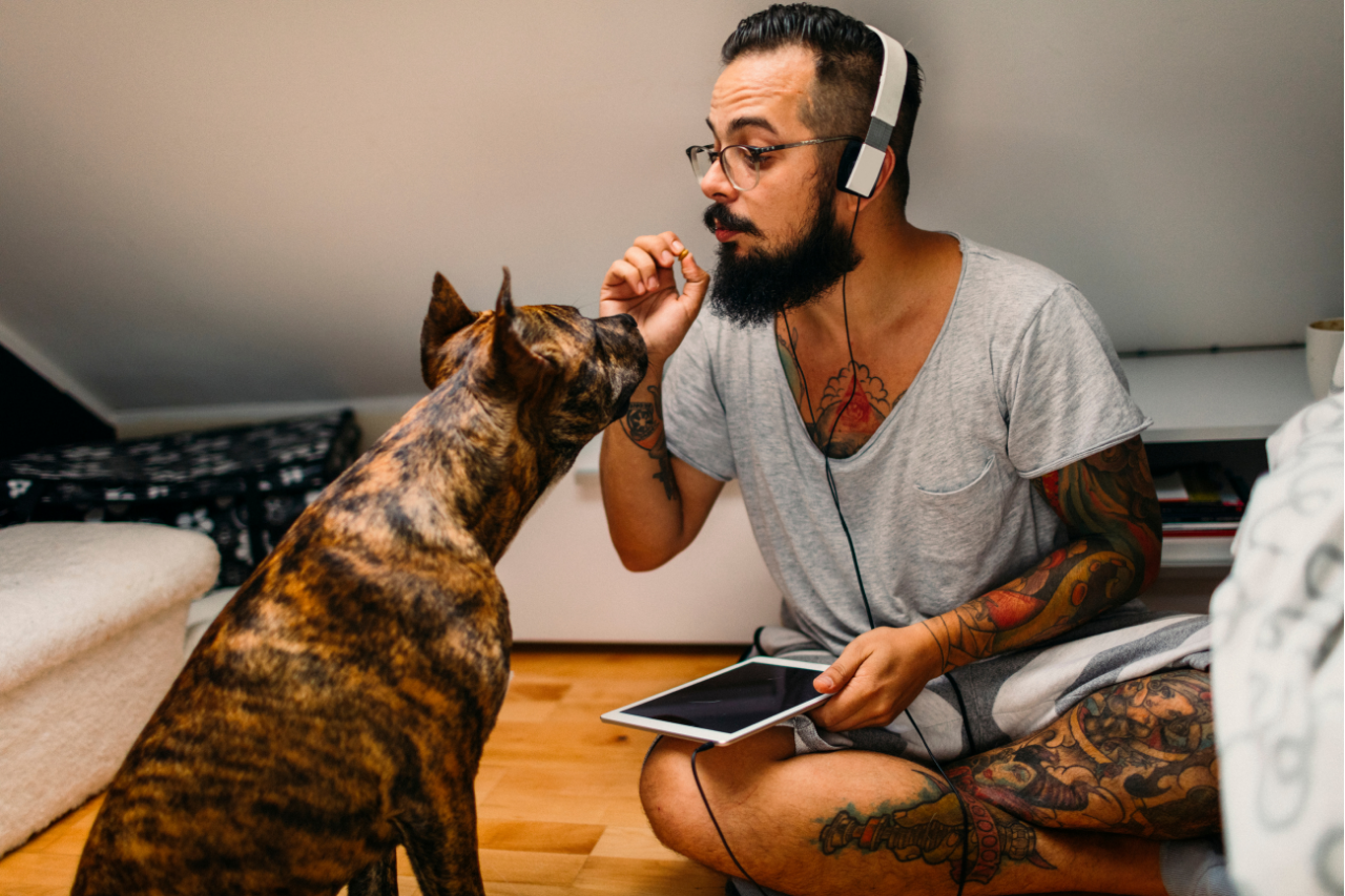 talking-dog-1280×853 A man talks to a dog